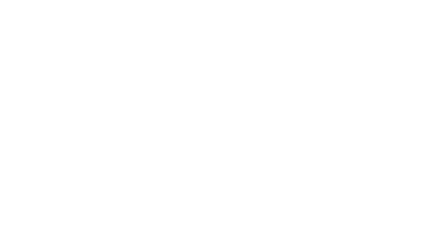 DataLogic2