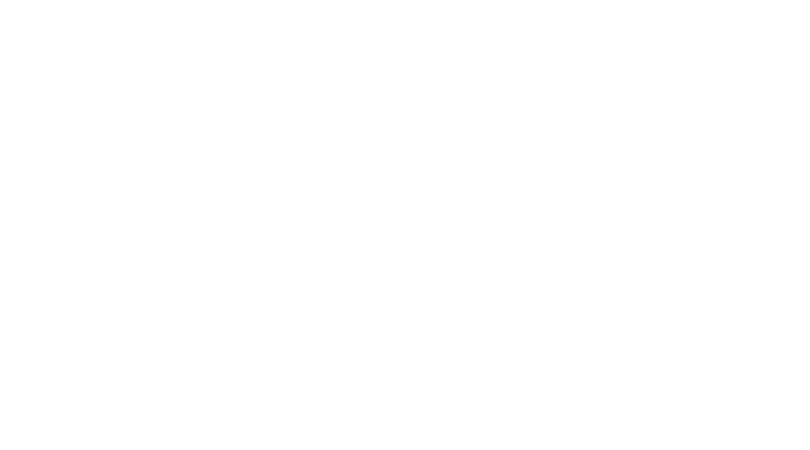 HoneywellN
