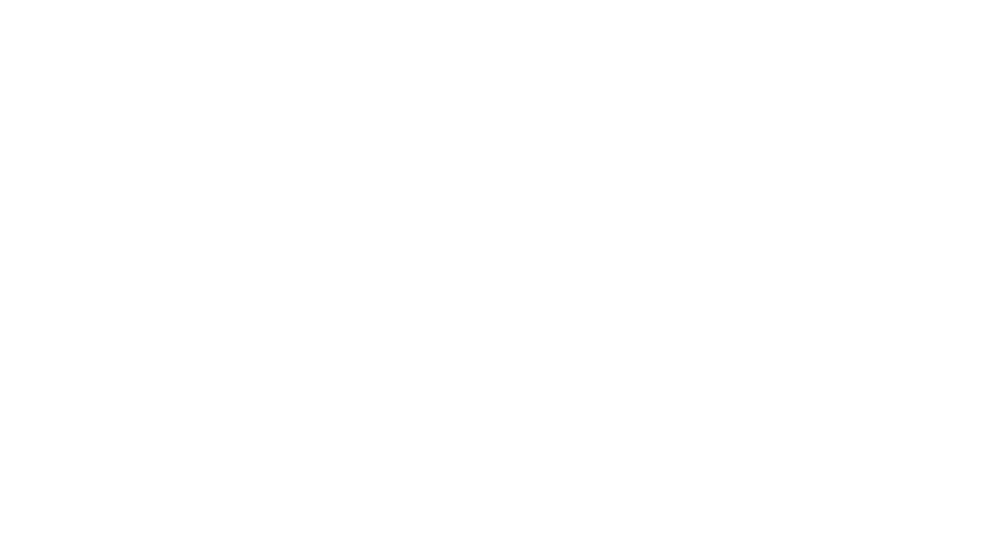 SmartN